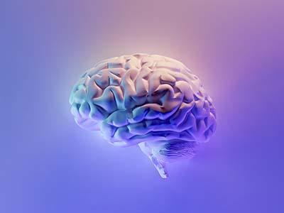 brain representing the mind